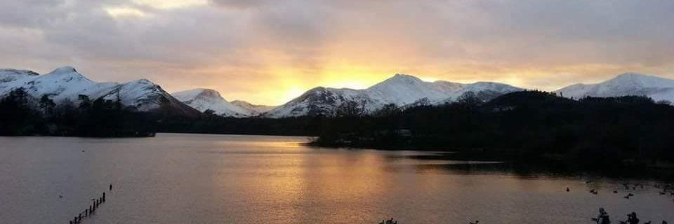 ♒ Michelle Masters #training consultant banner