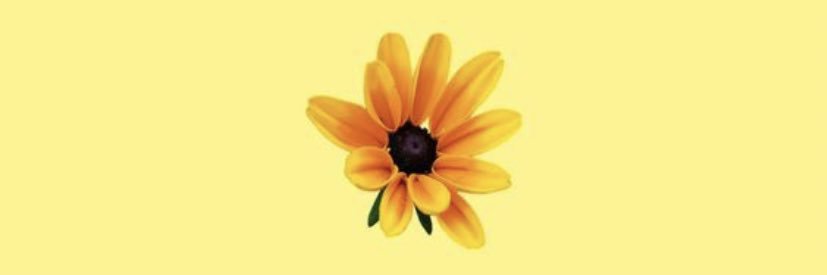 AlmaElena12's profile banner image
