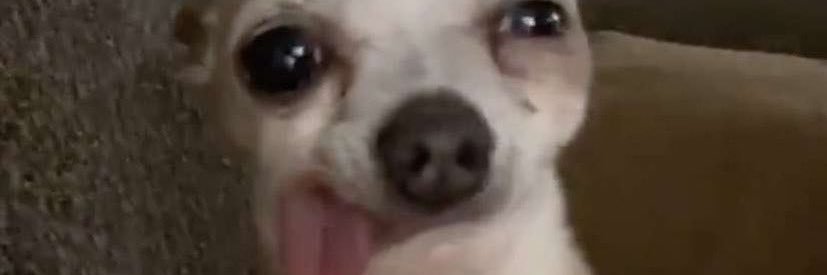 jennimcleod33's profile banner image