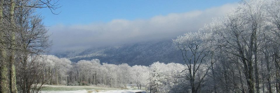 WBBanner's profile banner image