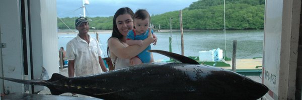 cminte Profile Banner