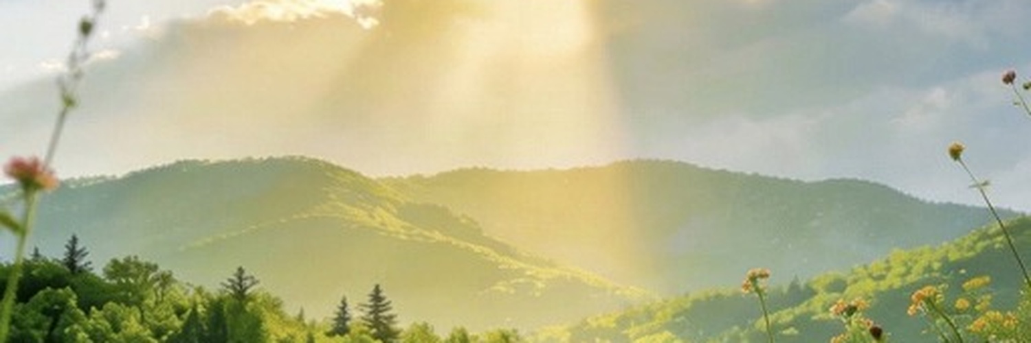 msshy1437's profile banner image