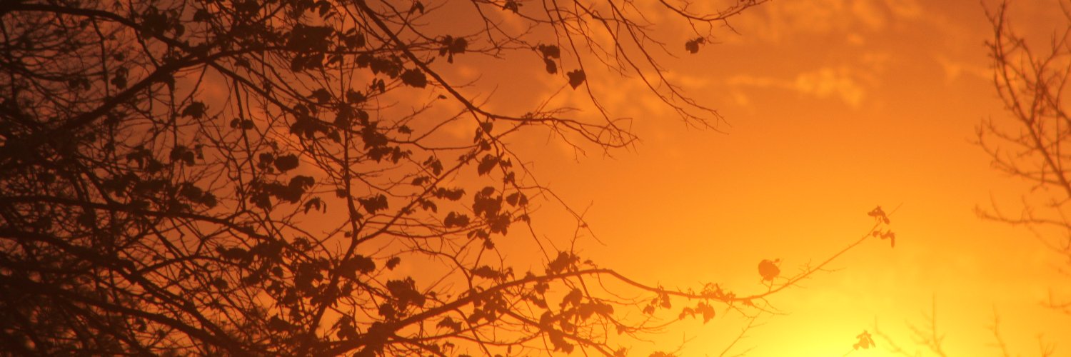 lesbrarienne's profile banner image
