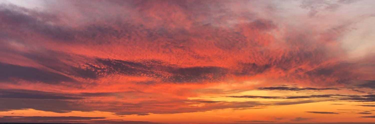 vrinne12's profile banner image
