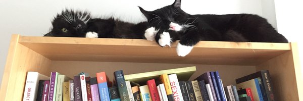 KimSnowden73 Profile Banner