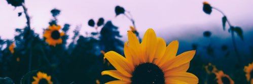 Johannaa33's profile banner image
