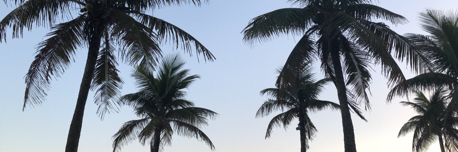 Sevdotkay's profile banner image