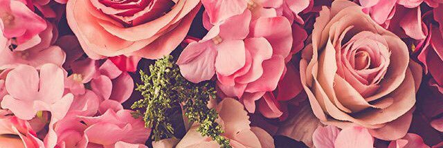 alilee1195's profile banner image