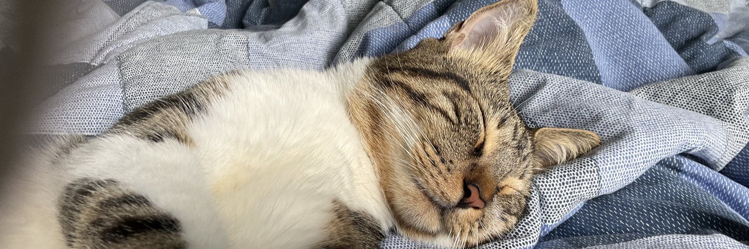lucyheisinger's profile banner image