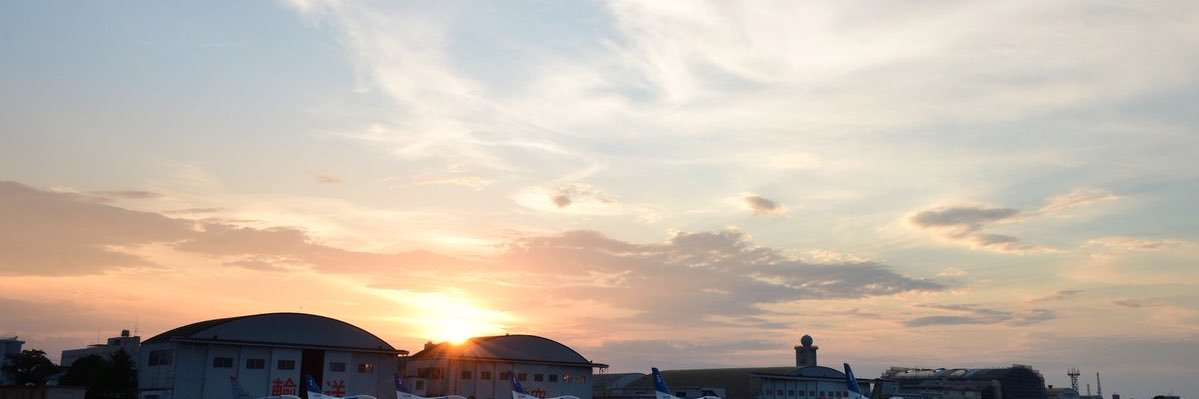 mimosa355's profile banner image