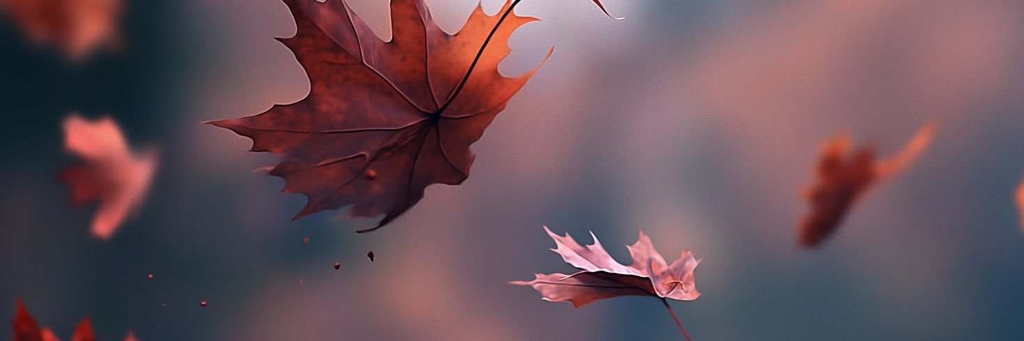 LizzRvz's profile banner image