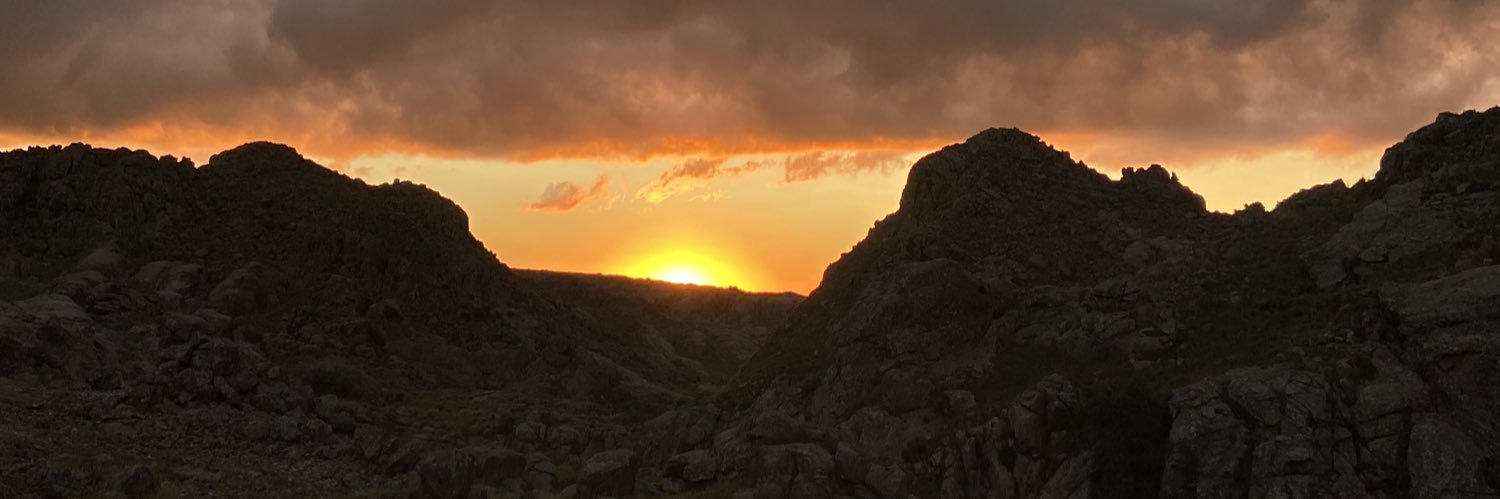 juliMainardi's profile banner image