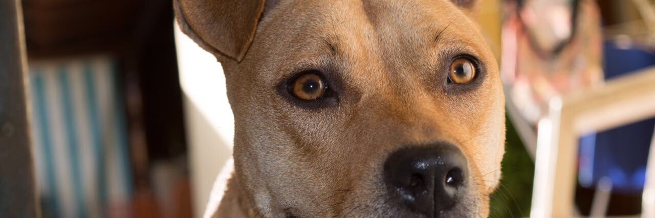 SophiP3's profile banner image