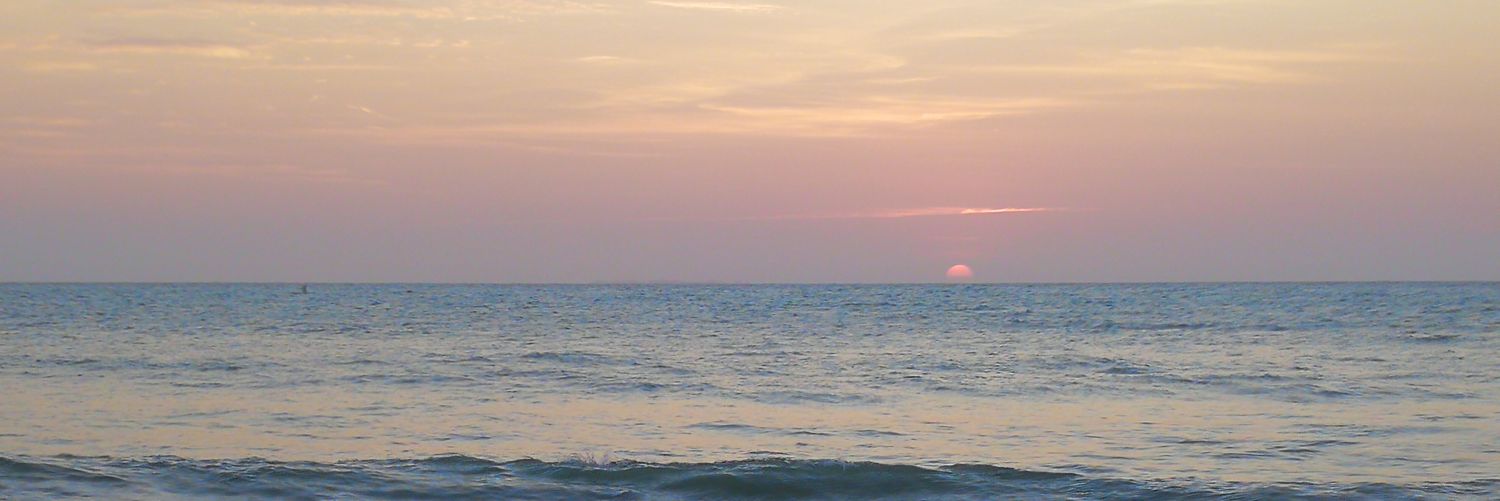Lou_Forero's profile banner image