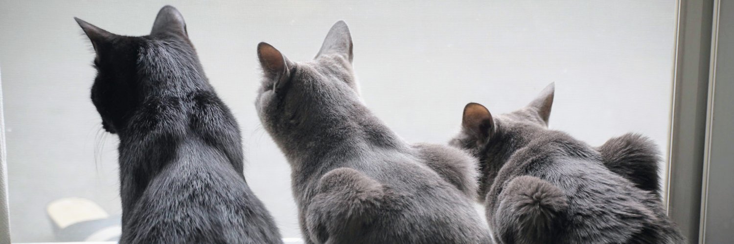 digdugpooka's profile banner image