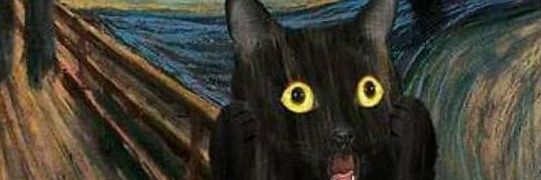 bego77d's profile banner image