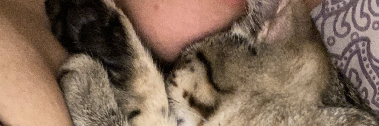 ShepBanshee's profile banner image