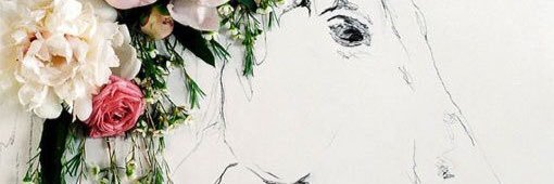 DeAragn's profile banner image