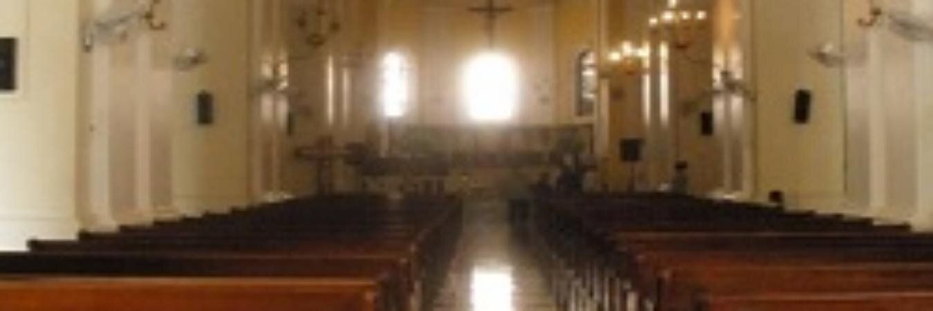 The Catholic Contributor (Heidi Vincent) banner