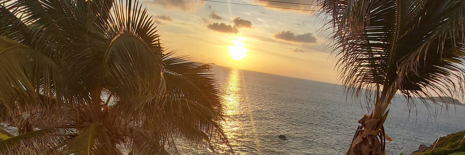 alepavonm's profile banner image