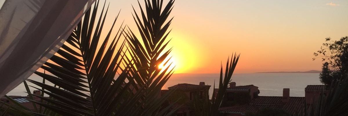 Alejandra Pradere banner