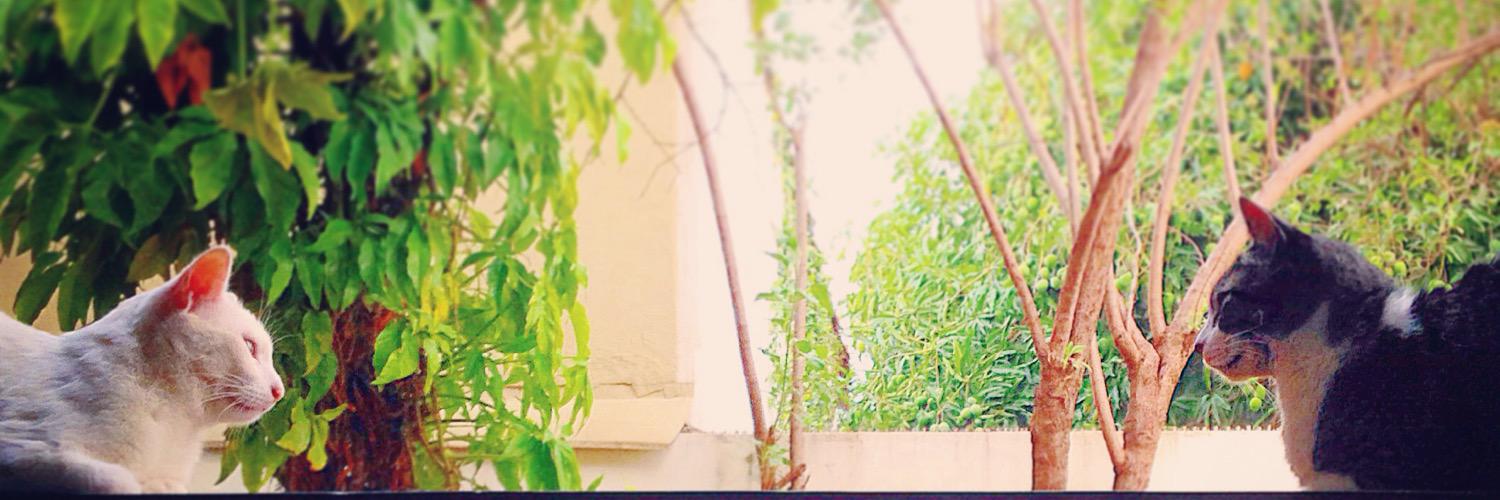thamarasarpi's profile banner image