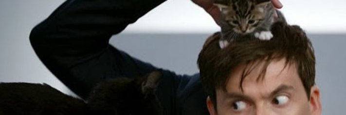 nobadcats's profile banner image