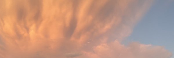 Latashaleesing Profile Banner