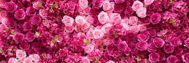 bee2wis's profile banner image