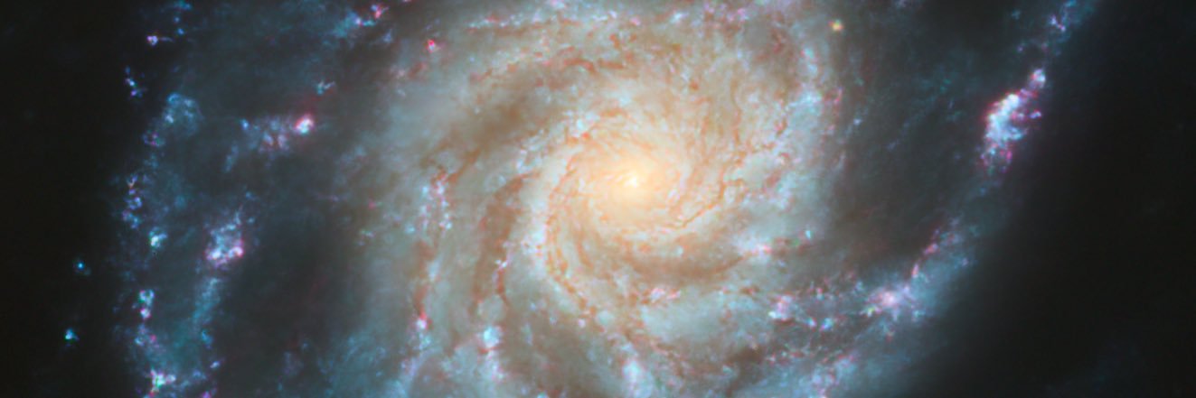 Ryan 👽 banner