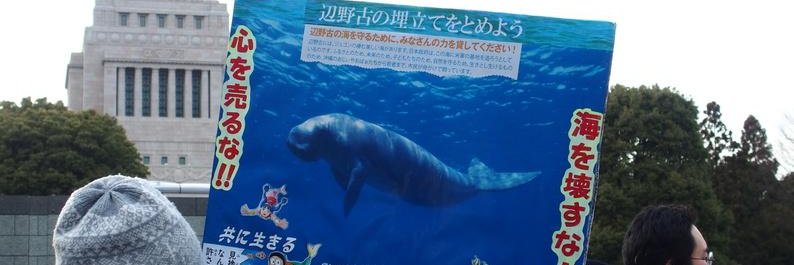 hirohiro＃NoKings,Free Iran・Gaza・Ukraine、Stop辺野古基地 banner