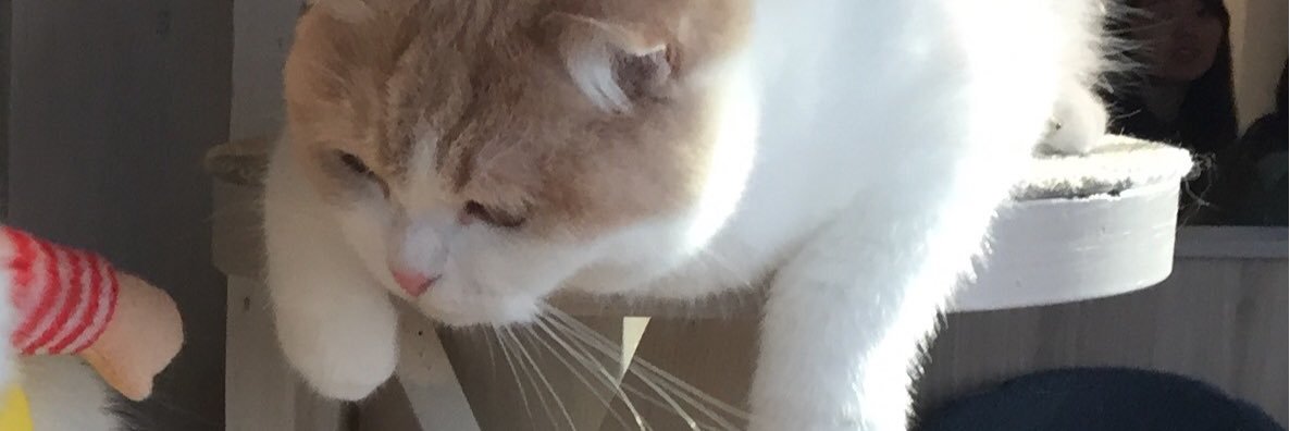 Medi_tomate's profile banner image