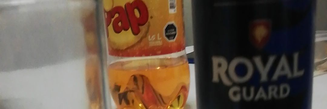 leonardogomezer's profile banner image