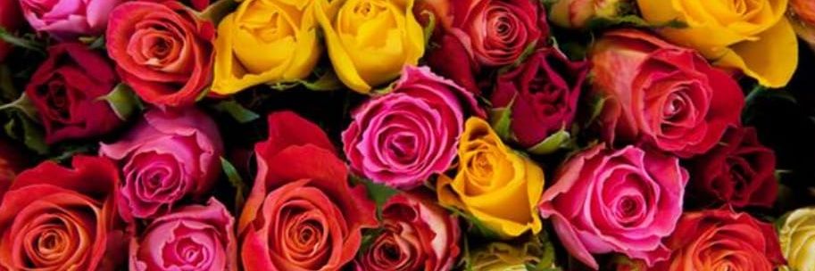 andreacabrera72's profile banner image