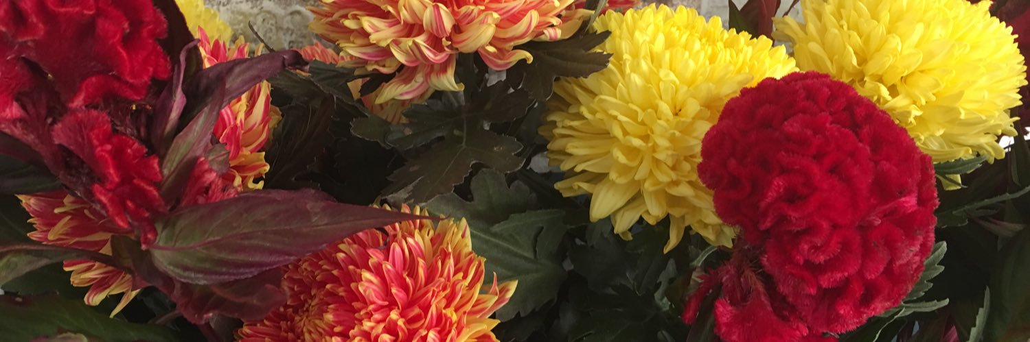 DKohry's profile banner image
