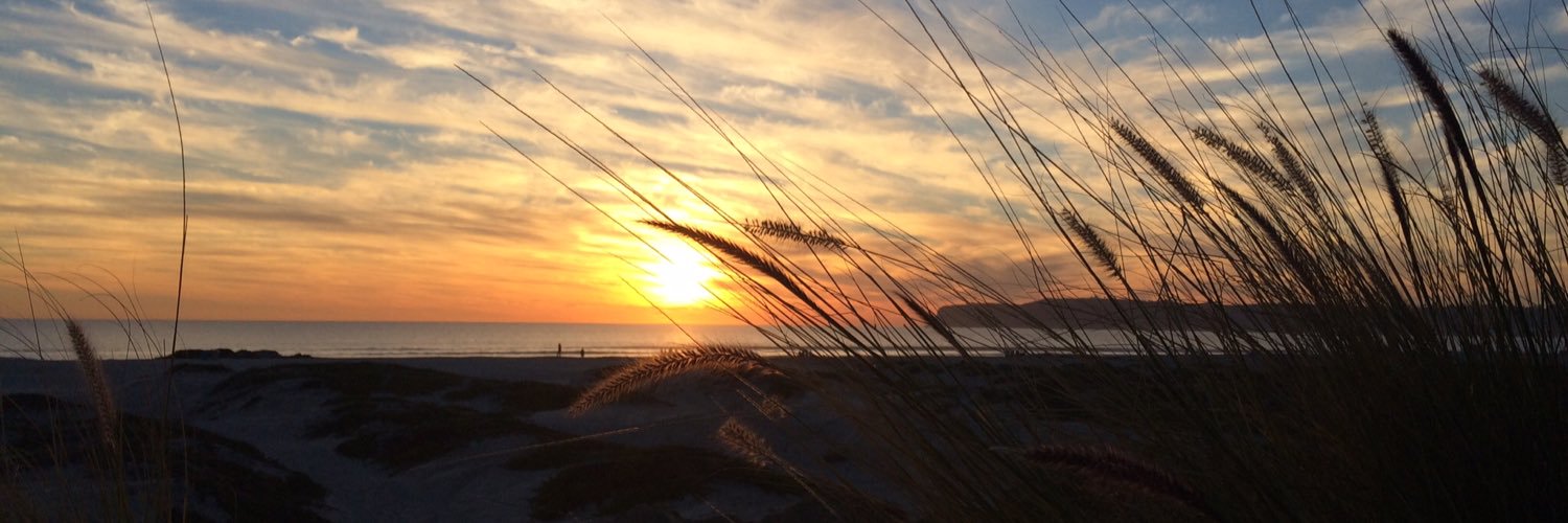 malou1123's profile banner image