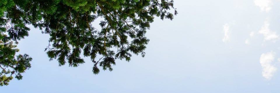 ☕ นอกจากเรียนเก่งแล้ว ไม่เก่งอะไรอีกเลย banner