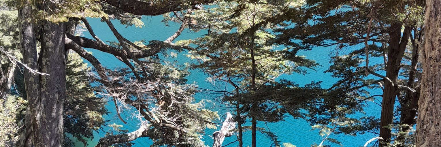cmgumberto's profile banner image