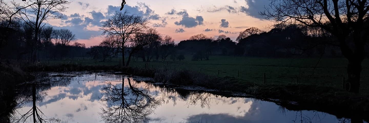 Kerry Buckley banner