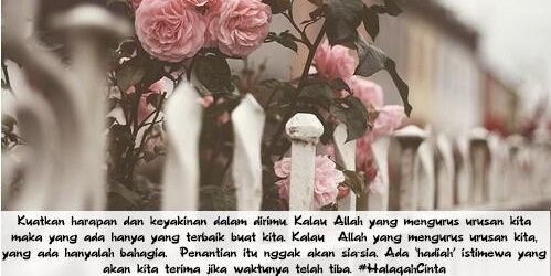 rya_riia's profile banner image