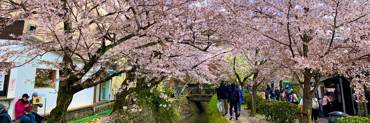 Tiffany Pedigo, MD banner