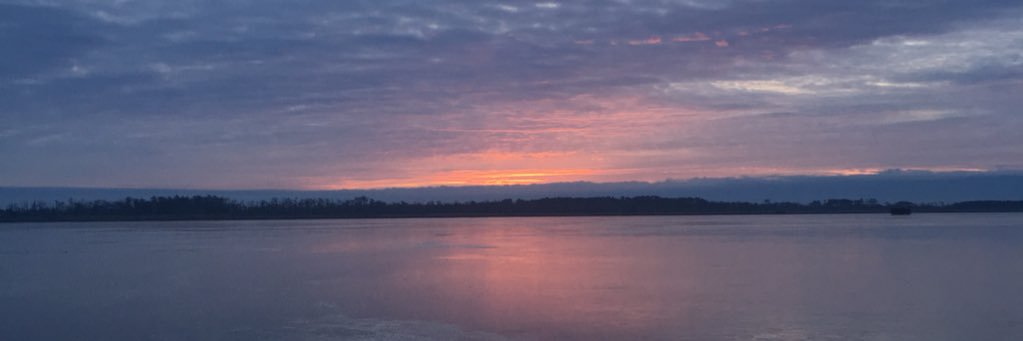MrVest1's profile banner image