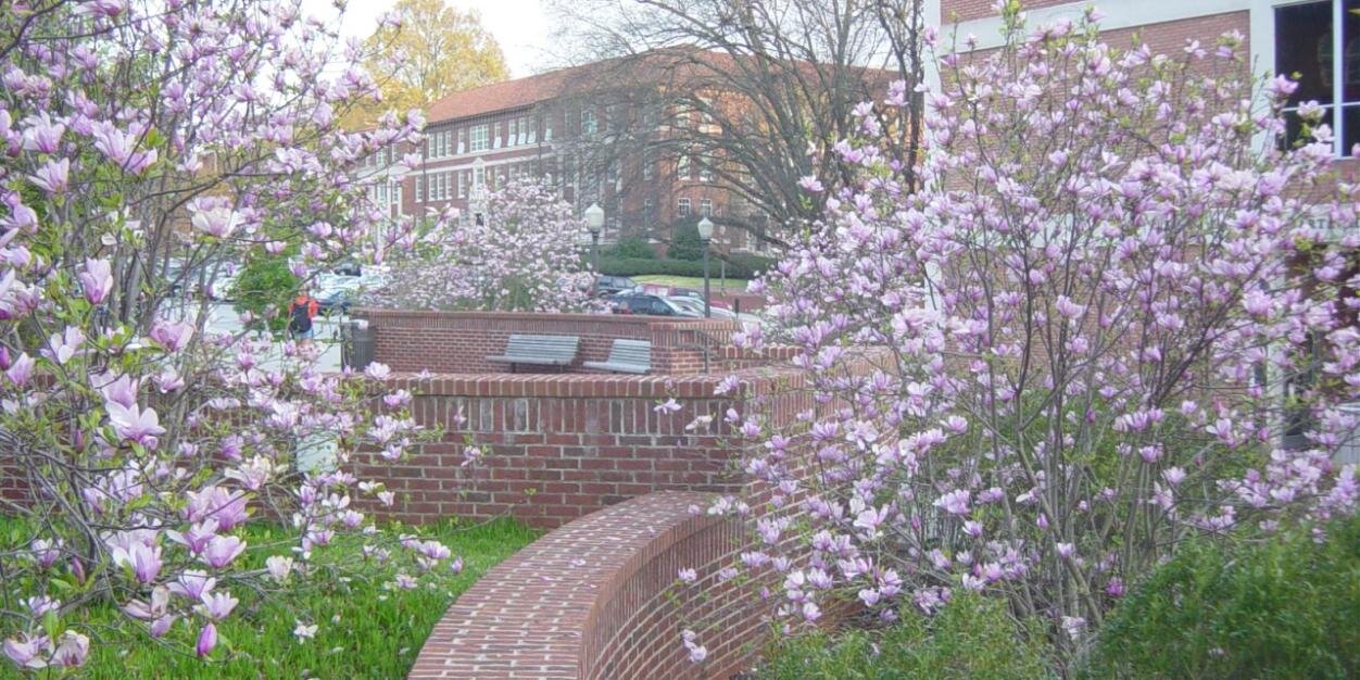 Clemson Economics banner