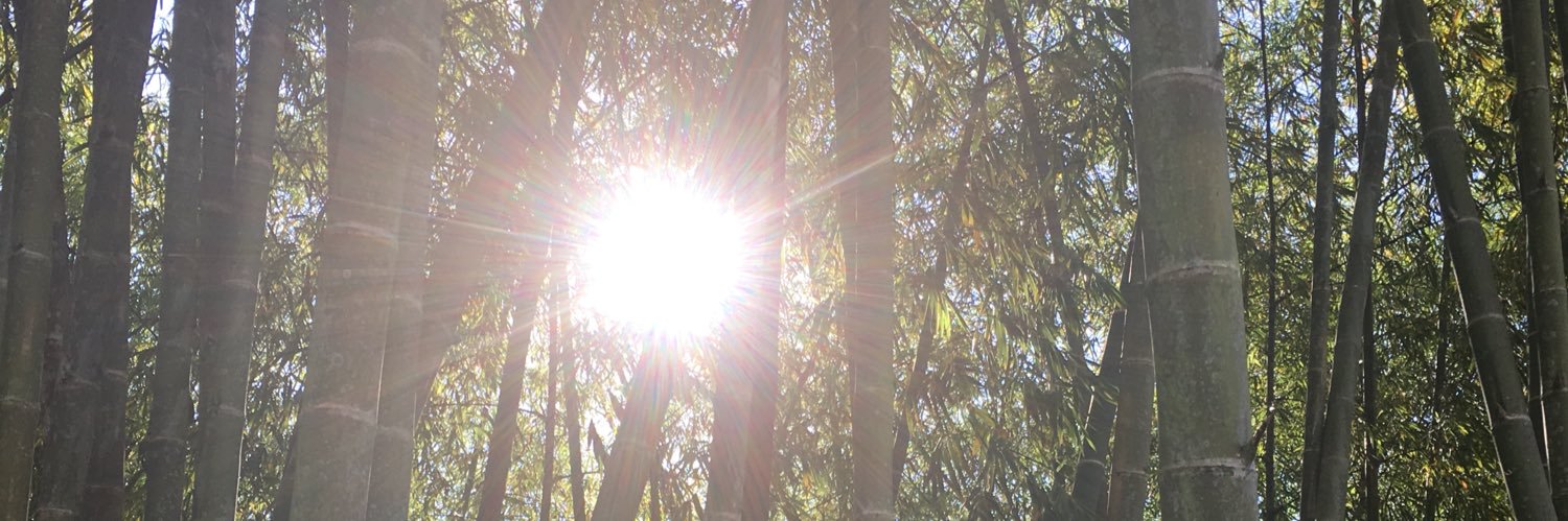 rodricles's profile banner image