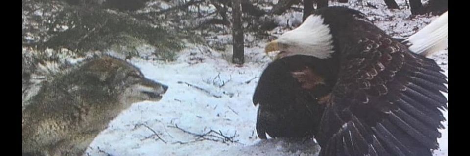 hoss2077's profile banner image