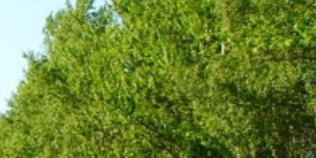 al_r2's profile banner image