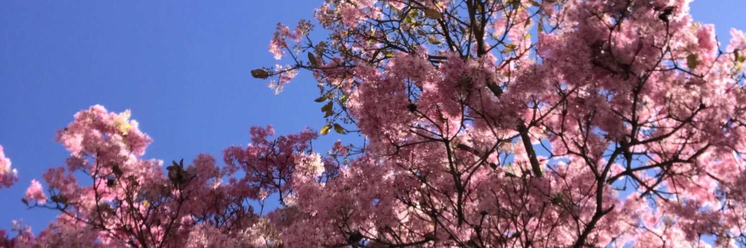 anne_c193's profile banner image