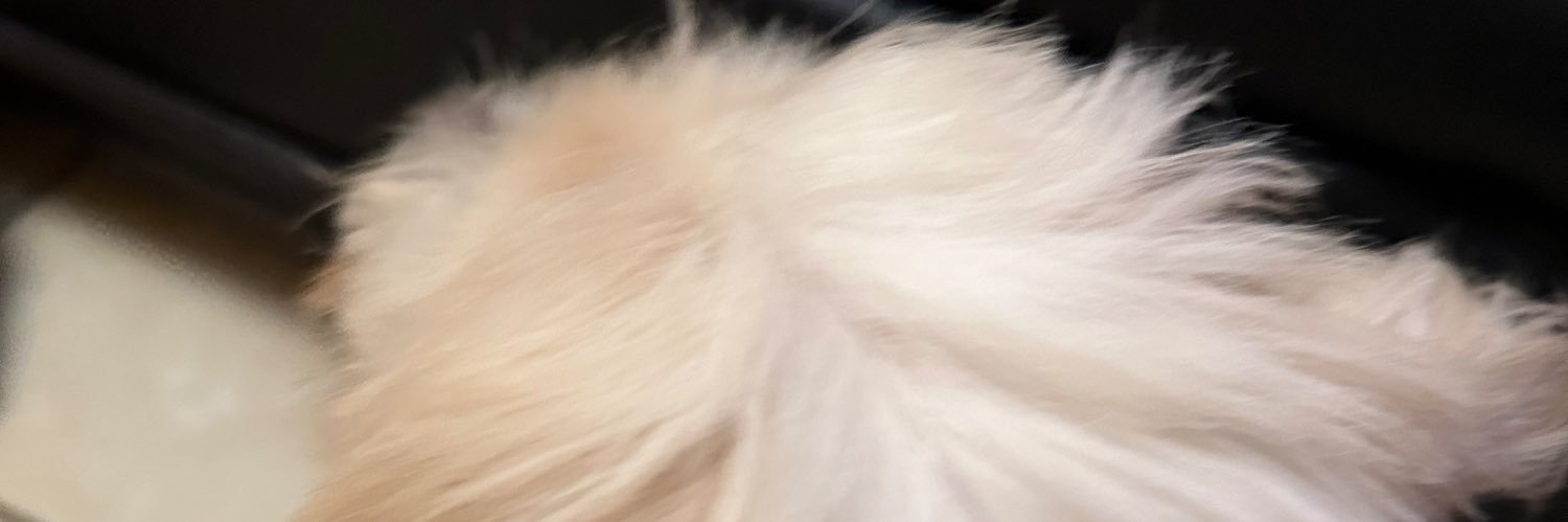 linmontes's profile banner image