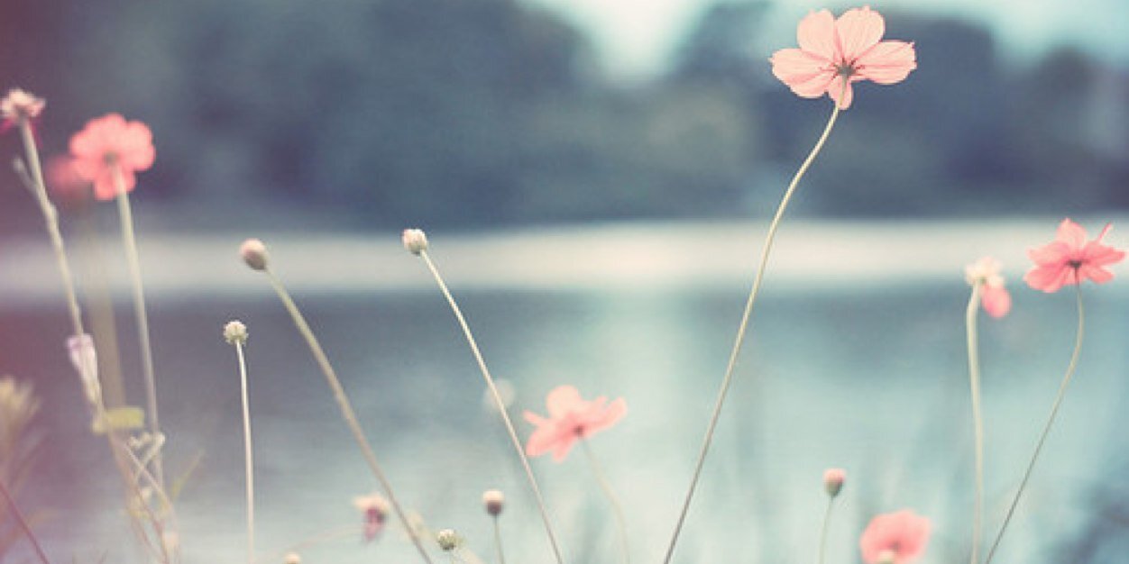 casey_lunnon's profile banner image