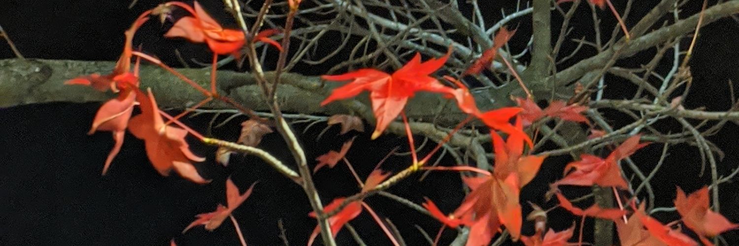 Stravinskii's profile banner image